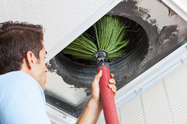 Best Air Duct Cleaning Near Me  in Plain City, UT