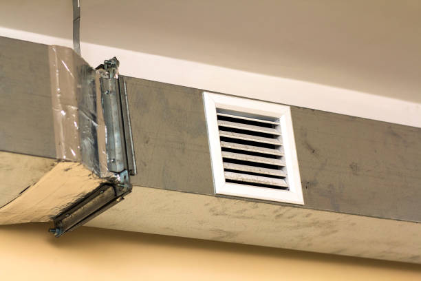 Best Air Duct Cleaning Company Near Me  in Plain City, UT